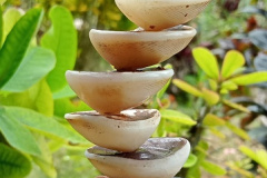 close-up of balancing concept of zen stones on green floral background